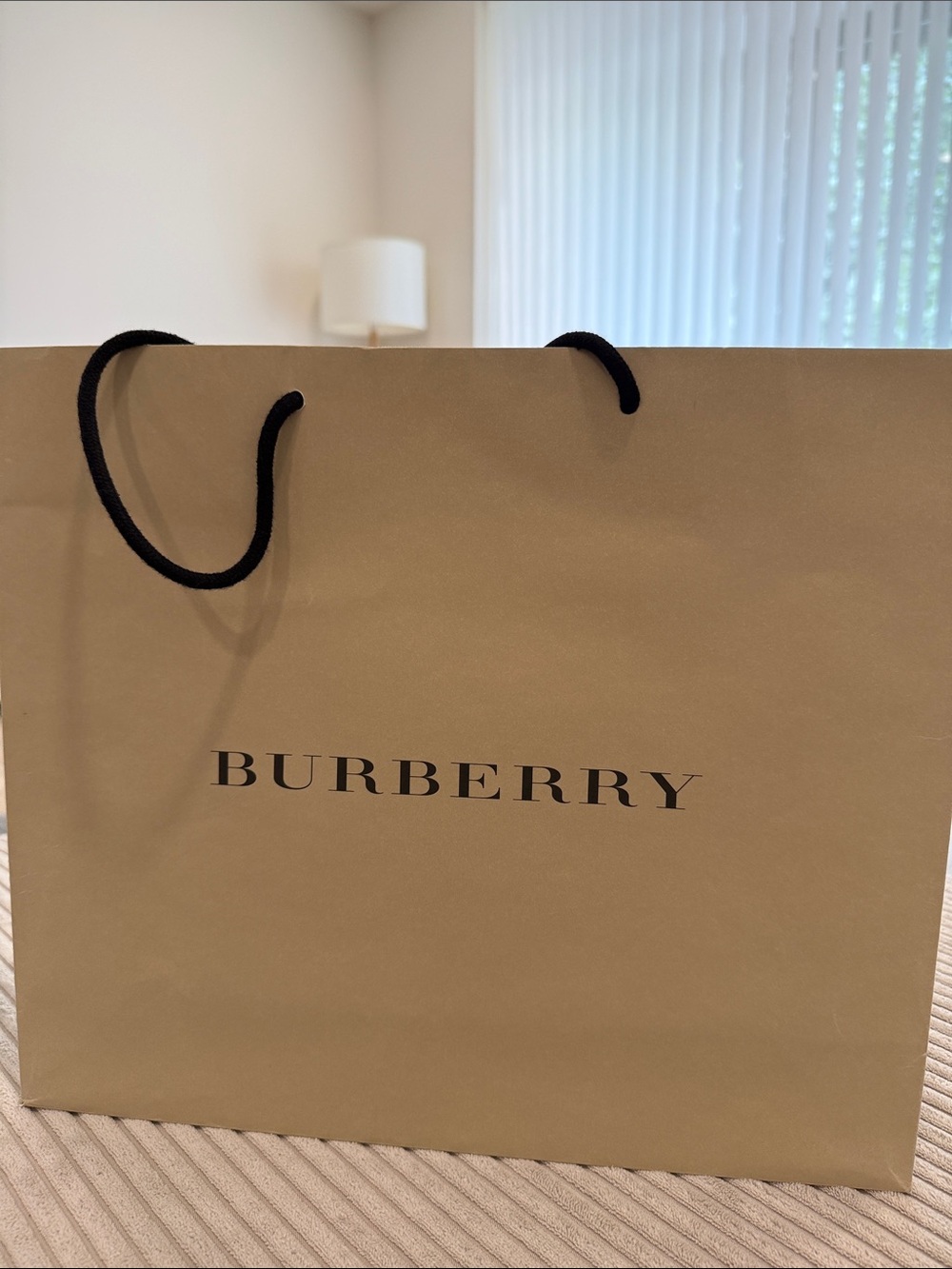 Burberry Beige Shopping Gift Bag with Black Rope Handles
